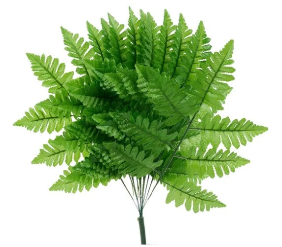 A large bunch of green fern leaves arranged in a dense, lush appearance.