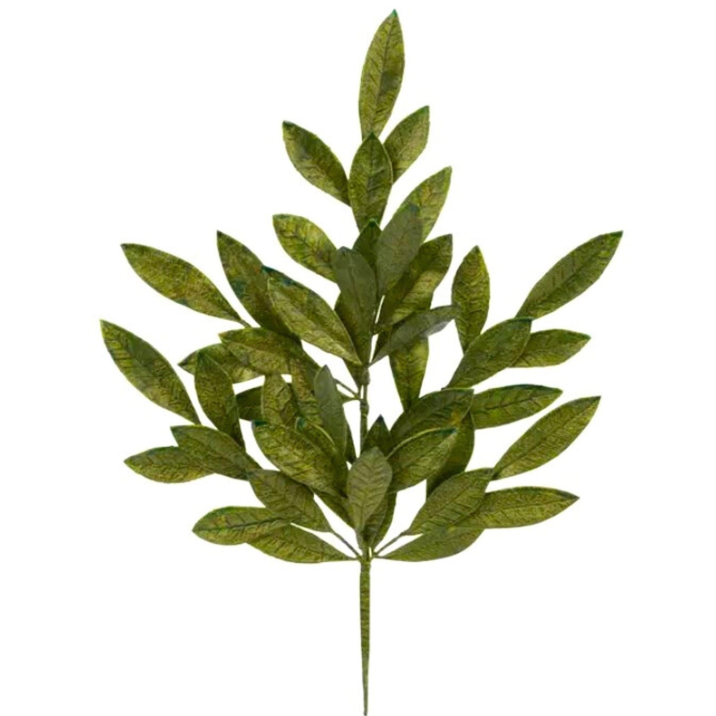 A branch with green leaves, resembling a plant or tree.