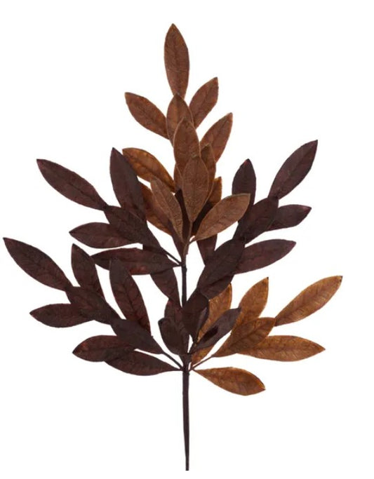 a branch with brown leaves, arranged in a stylized manner.