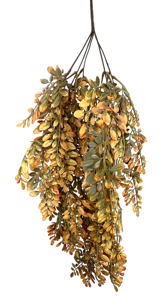 A branch with yellow and green leaves hanging against a blue background.