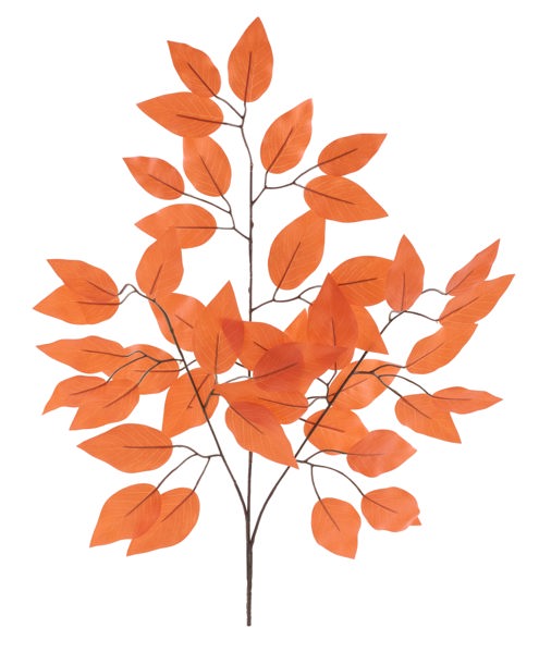 a branch with orange leaves on a white background