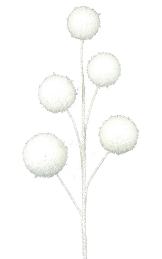 a drawing of three white flowers on a white background