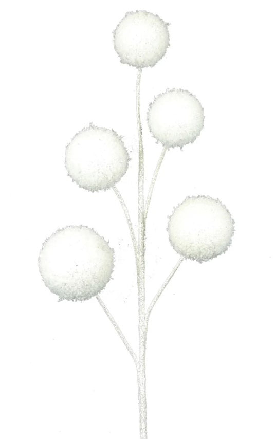 a drawing of three white flowers on a white background