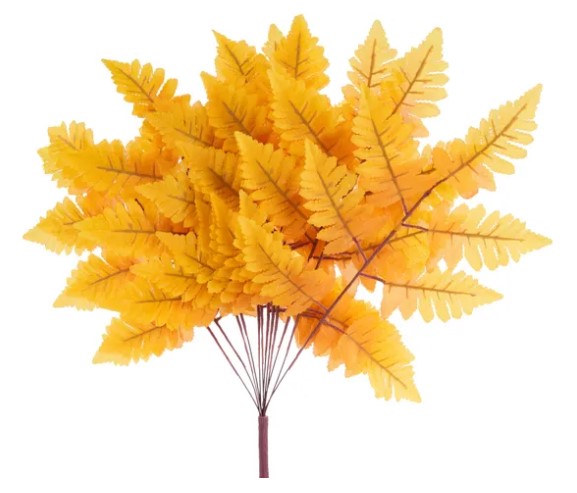 A cluster of vibrant yellow fern leaves arranged in a fan-like shape against a white background.