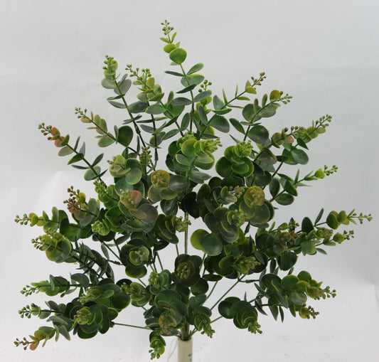 a vase filled with a green plant on top of a table