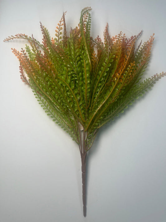a bunch of green and orange leaves or branches, possibly from a plant, arranged in a fan-like shape against a white background.