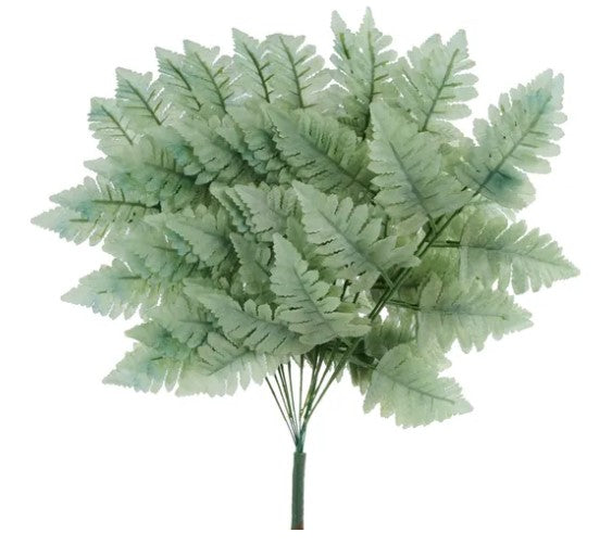A bunch of green fern leaves arranged in a circular pattern.