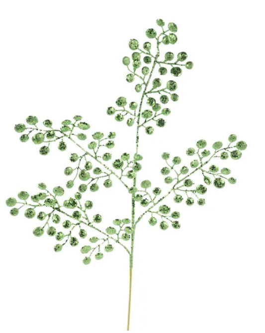 A branch with green leaves and small round leaves, resembling a plant or tree.