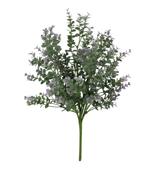 A cluster of small, green leaves with delicate white flowers against a black background.