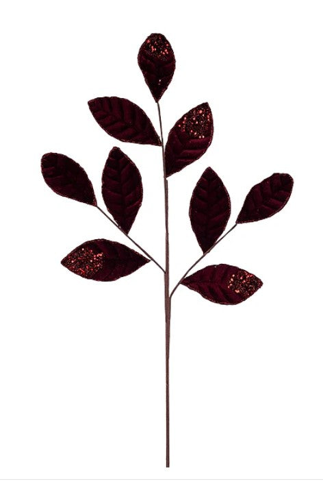 A single stem with dark red leaves attached to it, creating a striking contrast against the white background.