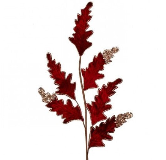 A branch with red leaves and small white flowers.