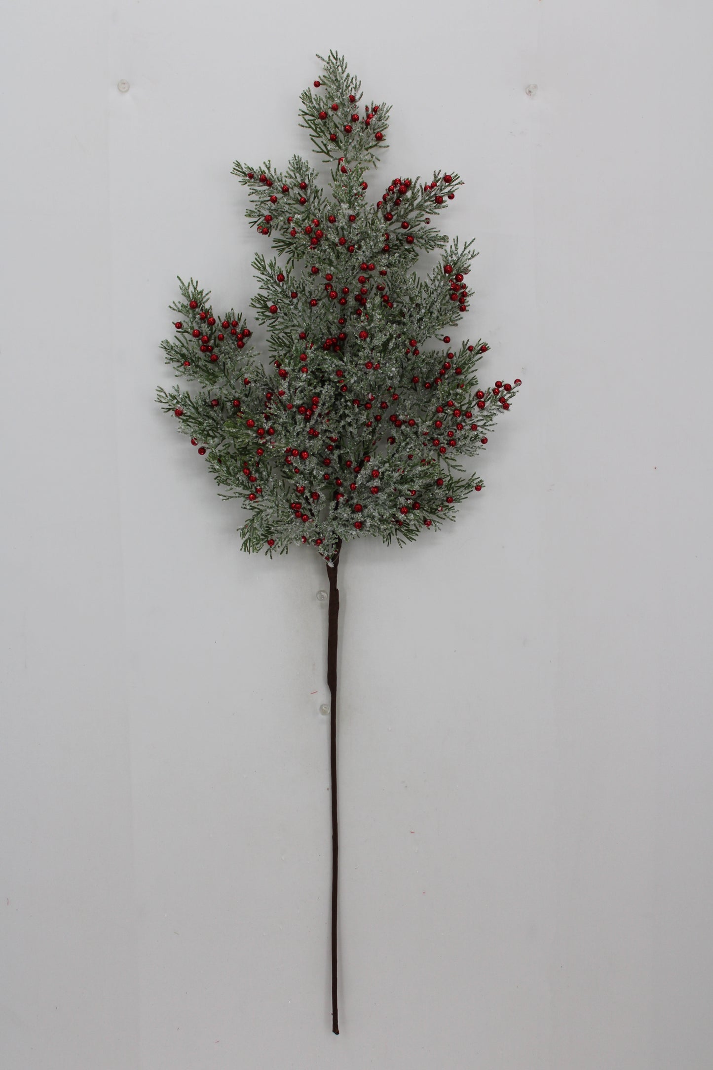A branch with green leaves and red berries is displayed against a white background.