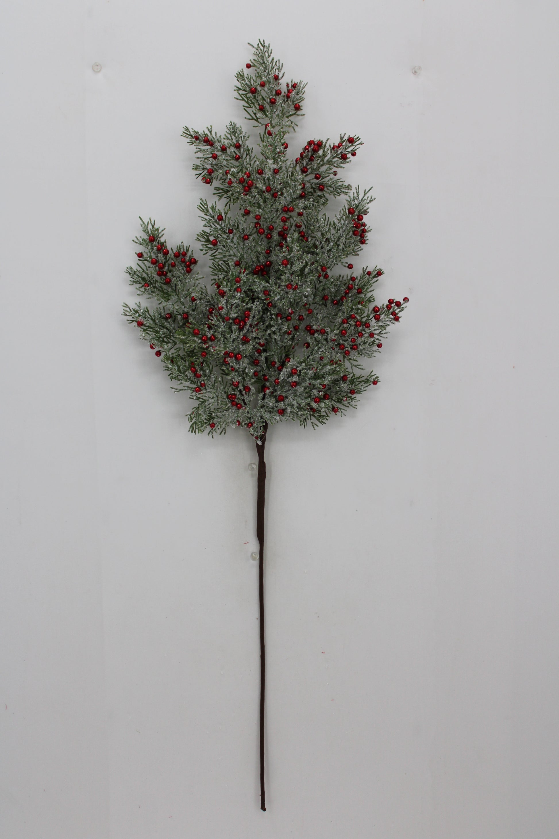 A branch with green leaves and red berries is displayed against a white background.
