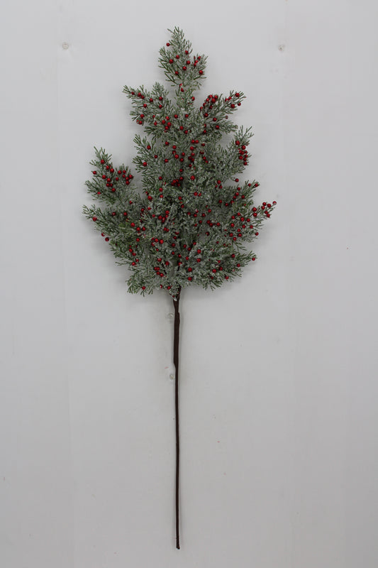 A branch with green leaves and red berries is displayed against a white background.