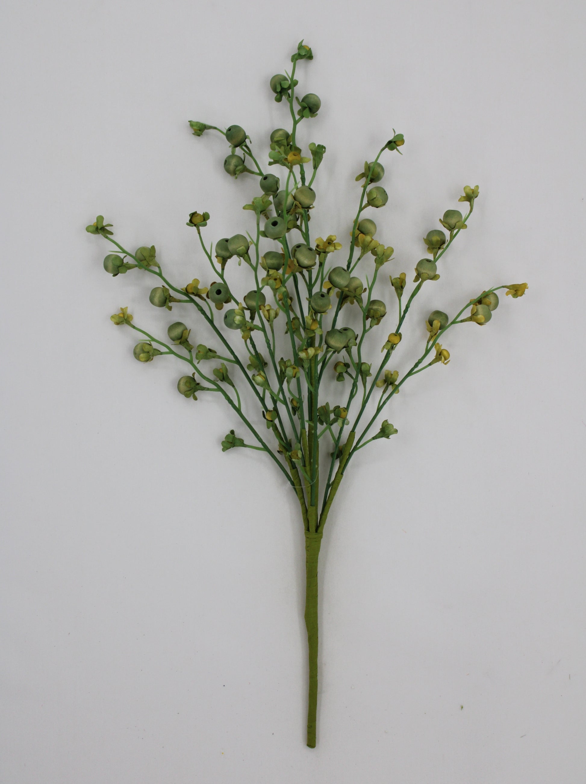 A single green stem with small yellow flowers protruding from it, arranged in a vertical fashion against a plain white background.