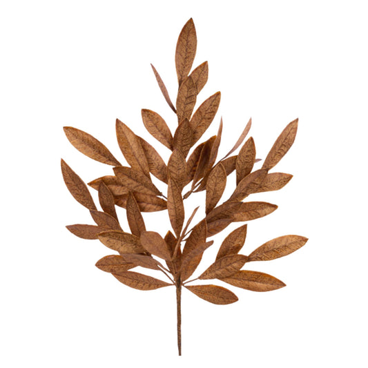 a plant with brown leaves on a white background