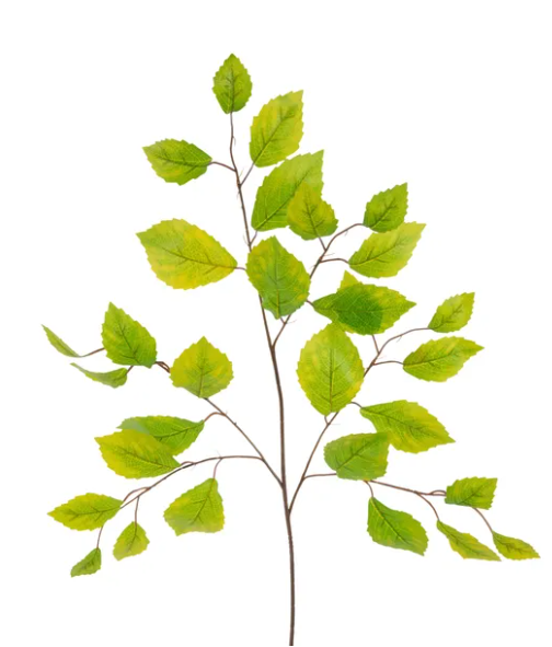 A branch with numerous green leaves, creating a lush and vibrant natural scene.