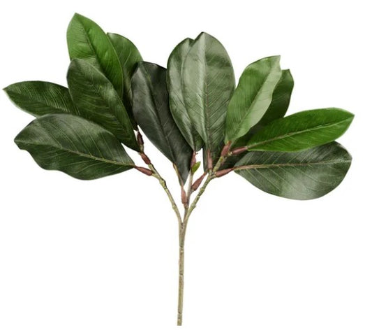 A branch with green leaves and a small stem.