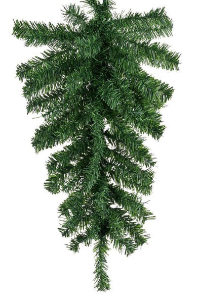 a green plant hanging from the ceiling