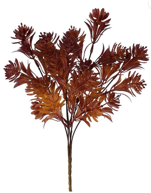a cluster of brown, spiky leaves or branches with a reddish-brown hue.