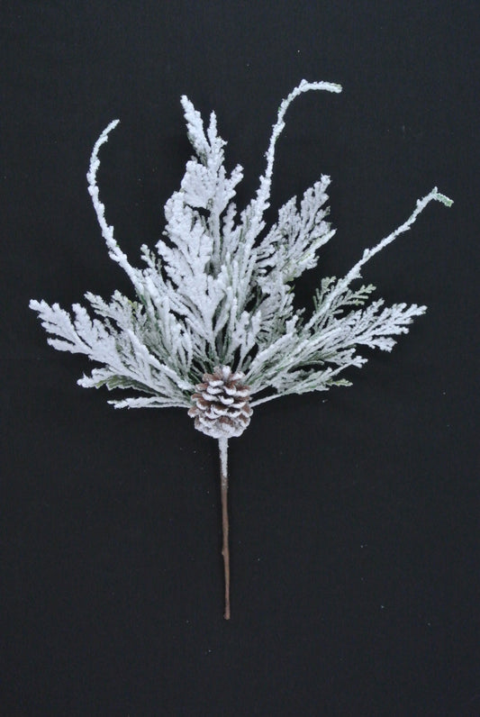 A branch with snow-covered pine needles and a pine cone is shown against a dark background.