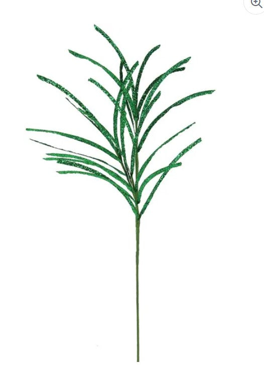 A single, green, leaf-like plant with long, thin leaves.