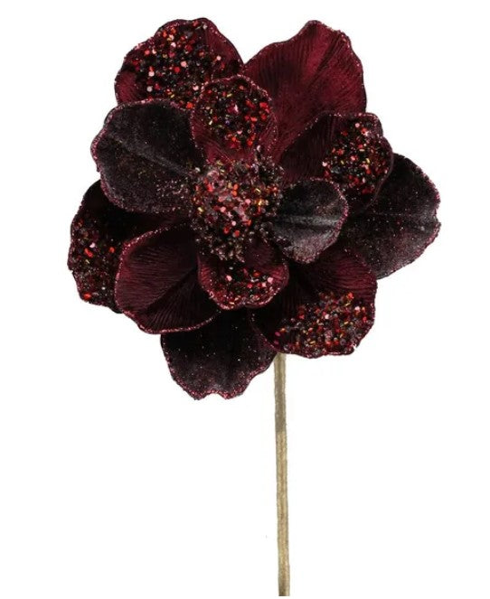 A close-up image of a burgundy-colored flower with a gold stem.