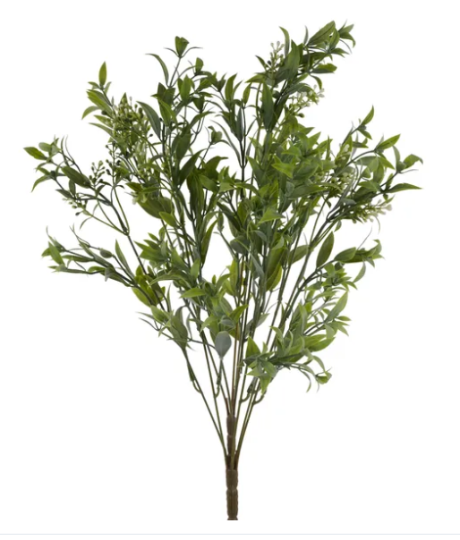 A lush, green plant with numerous leaves and branches, creating a dense, verdant appearance.