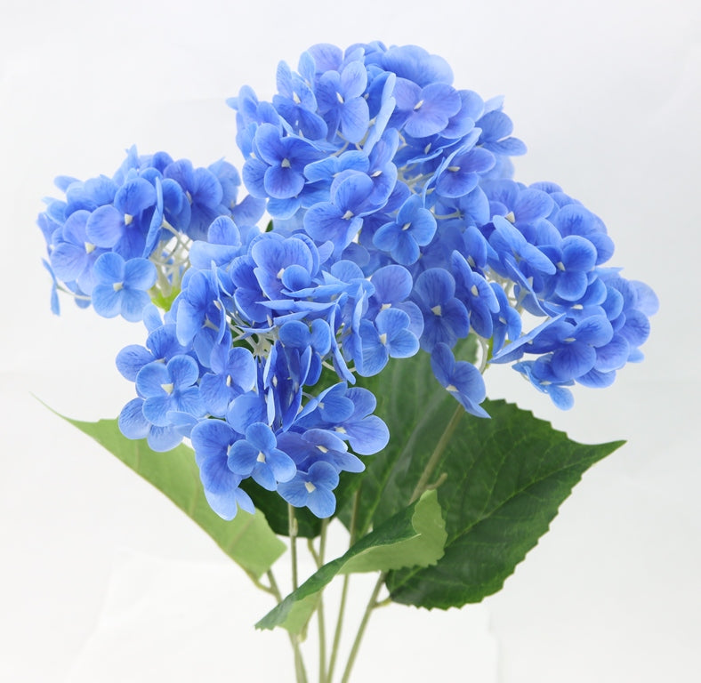 A bouquet of vibrant blue hydrangea flowers with lush green leaves.