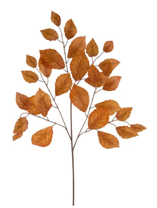 a branch with brown leaves, creating a natural and autumnal scene.