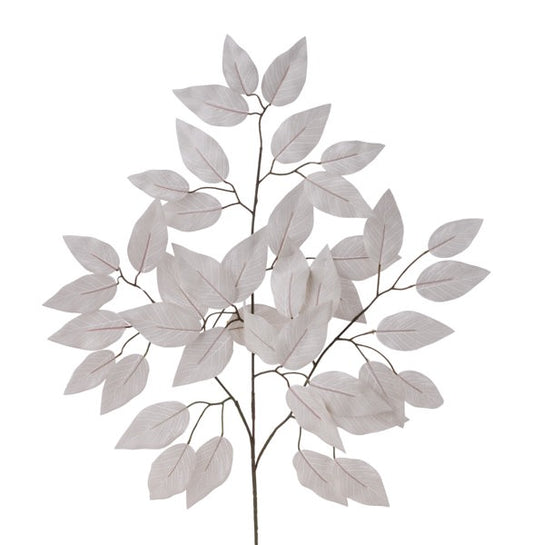 a branch with white leaves on a white background