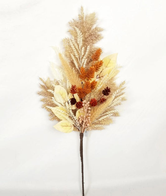 a dried plant with leaves on a white background