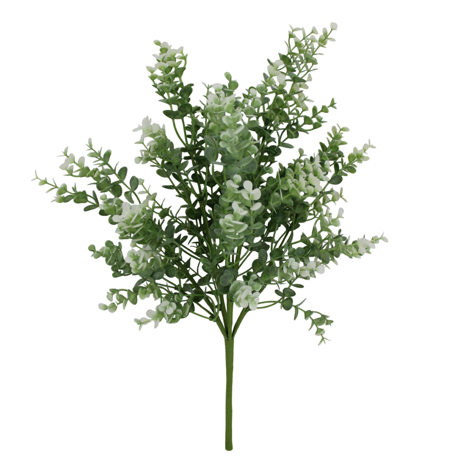 A close-up view of a bunch of green leaves or branches with small white flowers or buds, creating a lush and vibrant appearance against a black background.