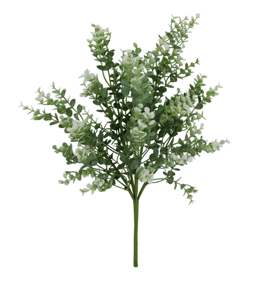 A close-up view of a bunch of green leaves or branches with small white flowers or buds, creating a lush and vibrant appearance against a black background.