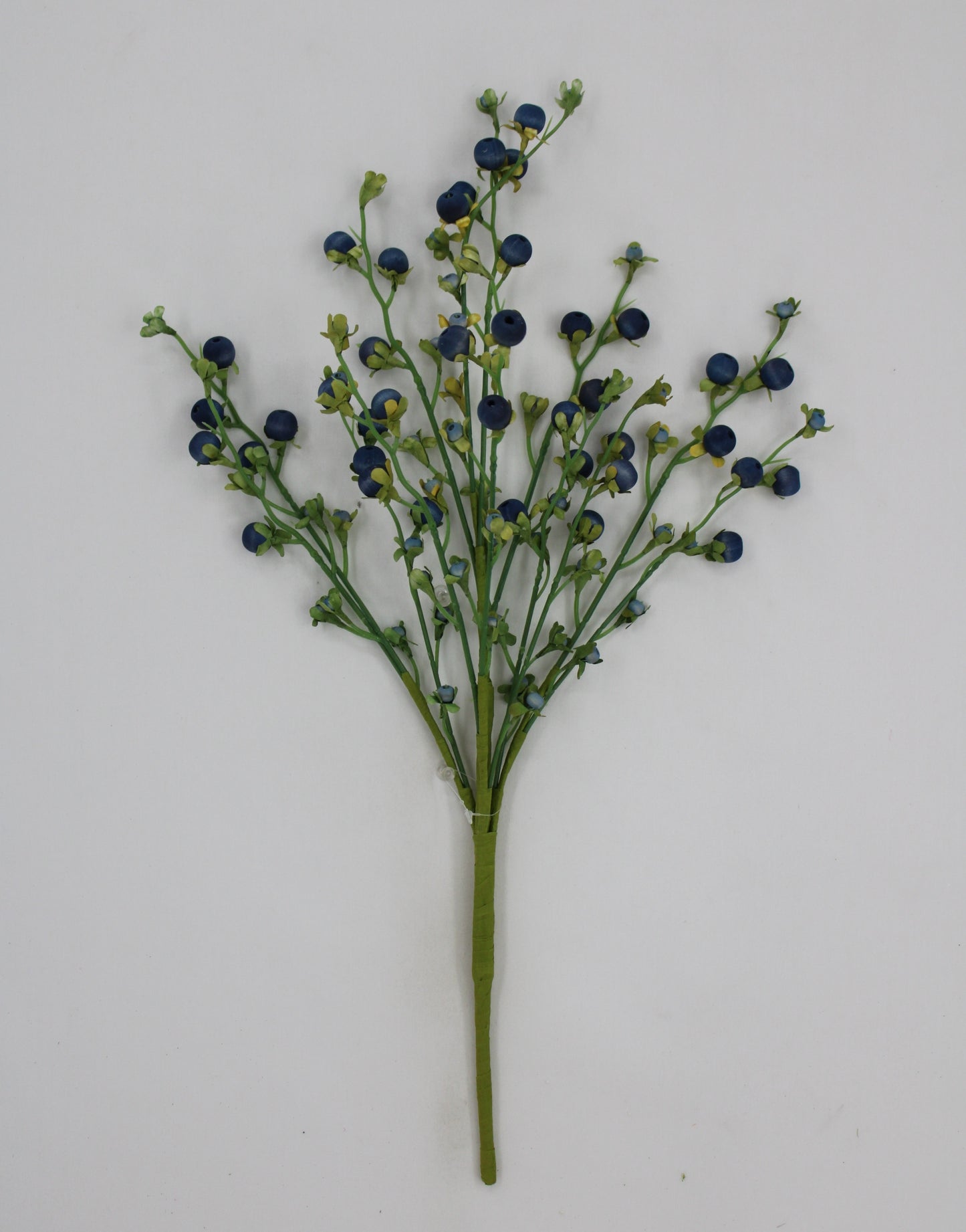 A single blueberry branch with green stems and small blue berries is displayed against a white background.