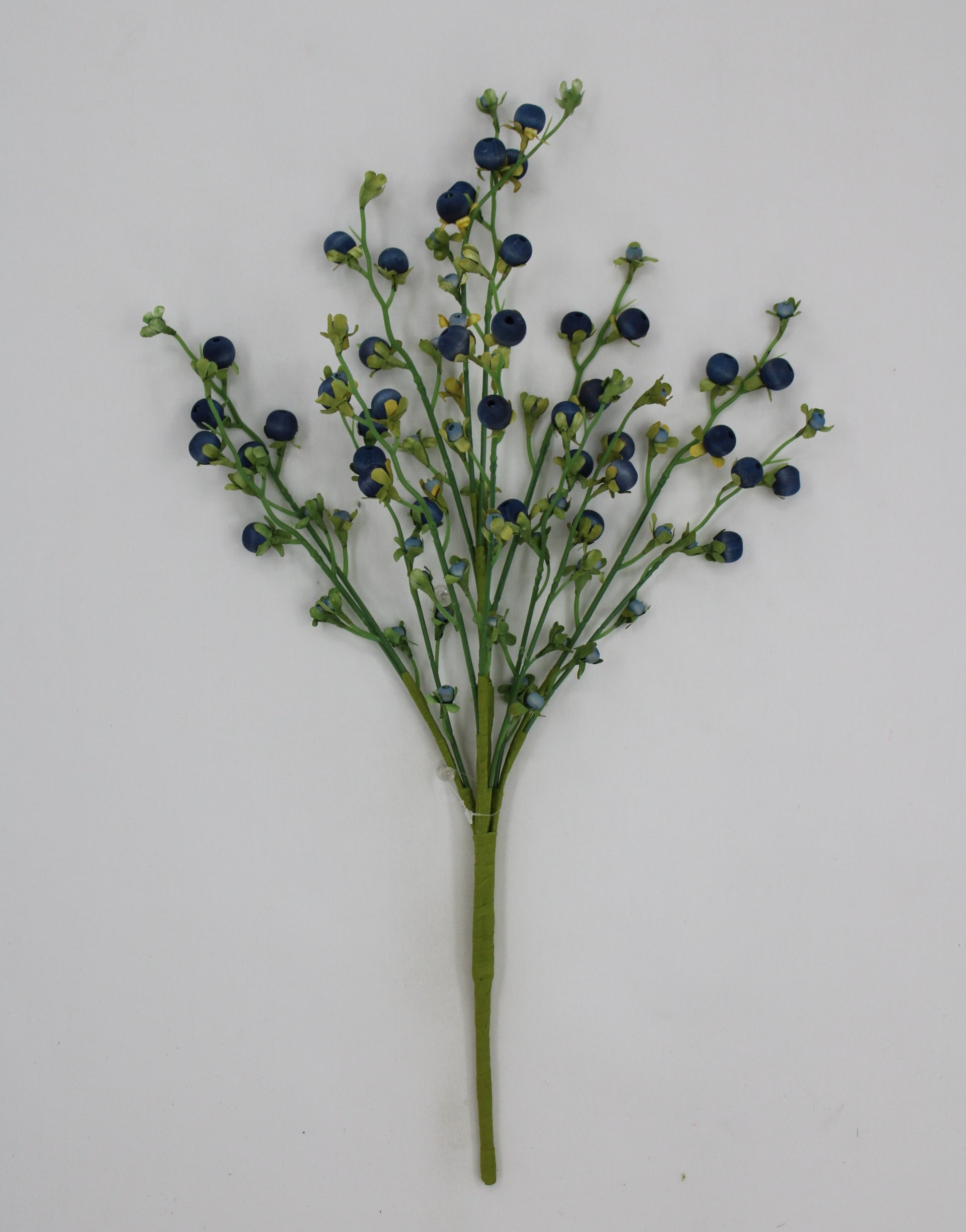 A single blueberry branch with green stems and small blue berries is displayed against a white background.