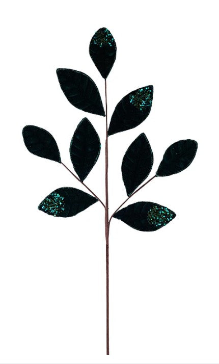 A single, dark green leaf with small, glittery spots on it, attached to a brown stem.