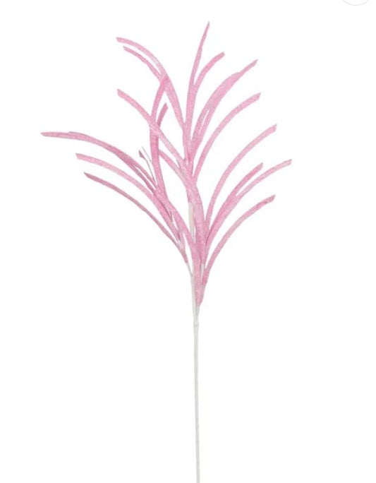 A single pink flower-like object with long, thin petals.