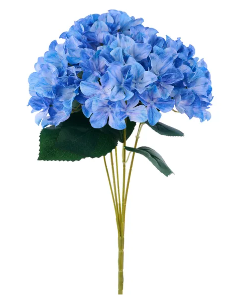 A bouquet of beautiful blue hydrangea flowers with green leaves.