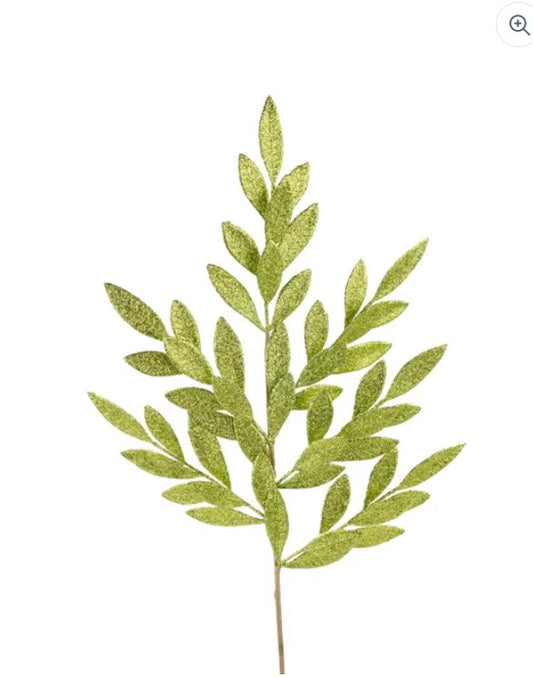 A single, green leafy plant with multiple thin, pointed leaves.