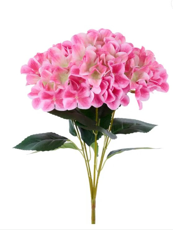 A bouquet of pink flowers with green leaves, creating a beautiful and vibrant floral arrangement.