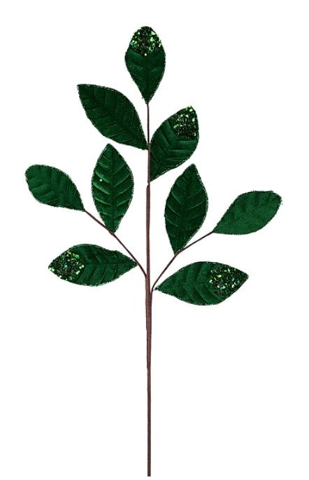 A single green leaf with small glittery spots on it, attached to a brown stem.