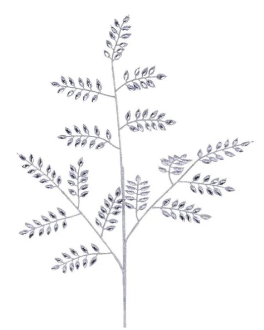 A detailed black and white illustration of a plant with numerous small leaves and branches.