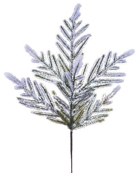 A snow-covered pine branch with green needles, creating a wintry, snowy scene.
