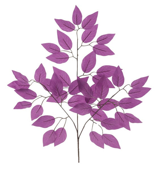 a branch with purple leaves on a white background