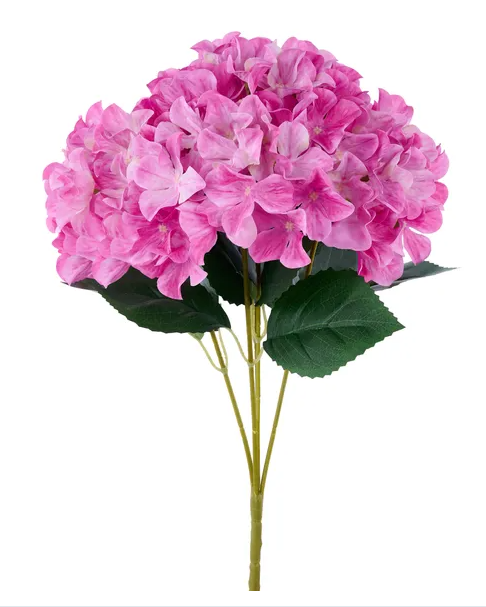 A bouquet of pink hydrangea flowers with green leaves.