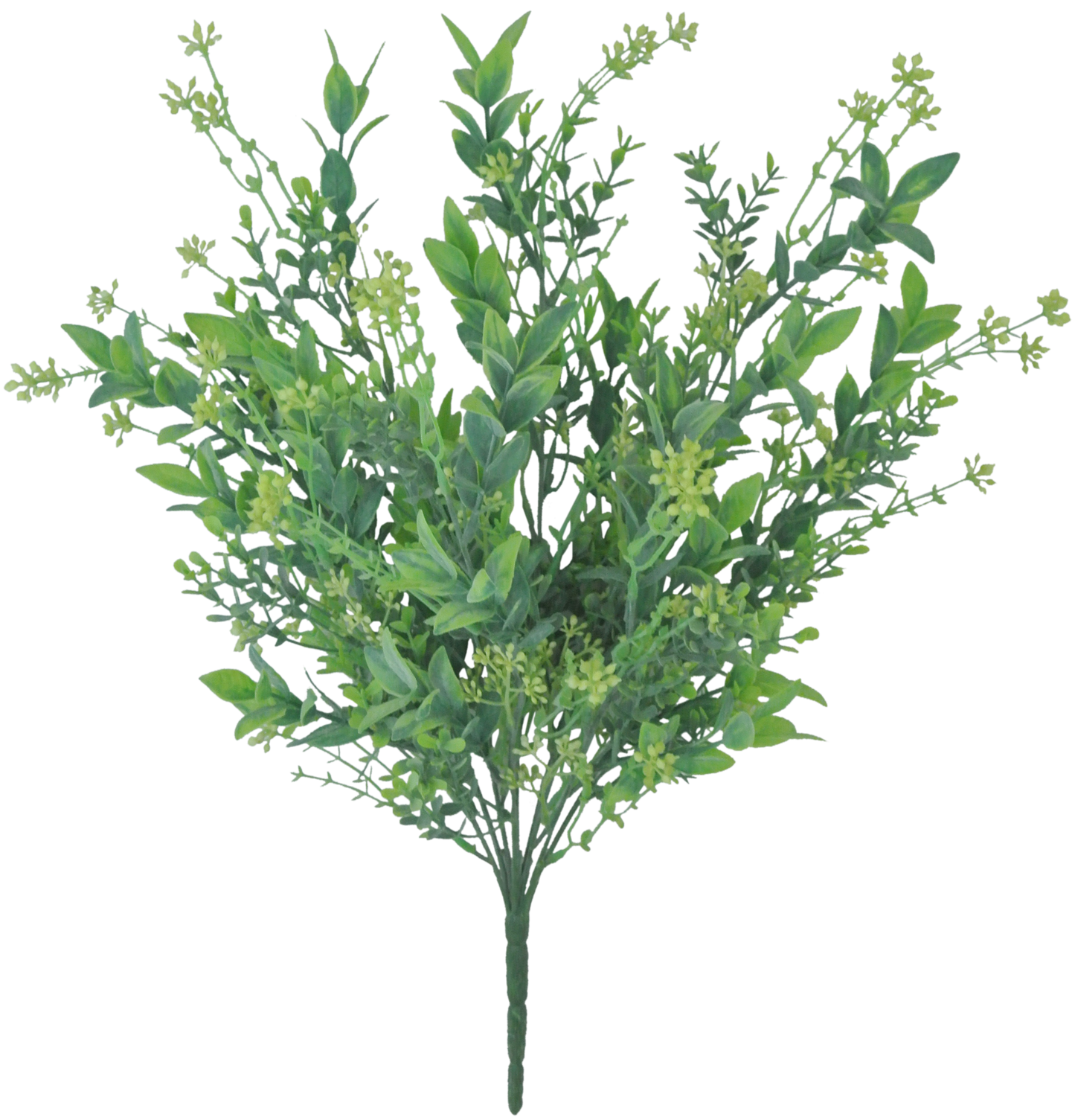 A lush, green plant with numerous leaves and small flowers, creating a vibrant and natural appearance.