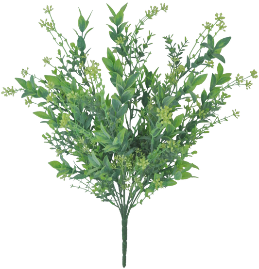 A lush, green plant with numerous leaves and small flowers, creating a vibrant and natural appearance.
