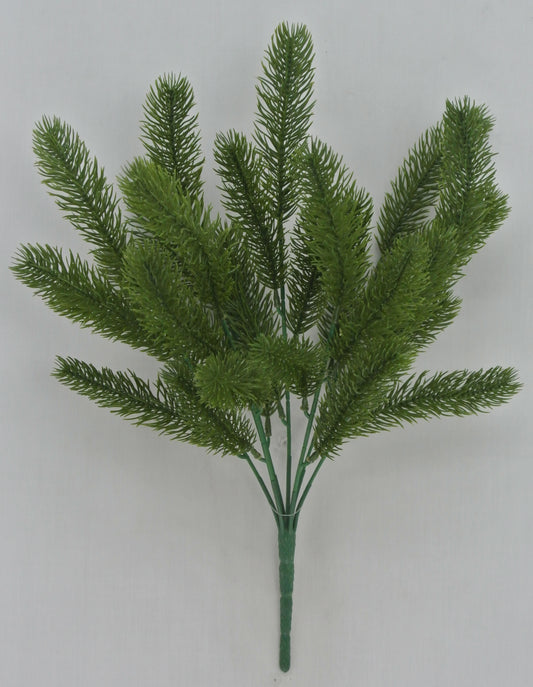 A branch of a green plant with long, thin leaves arranged in a fan-like shape against a plain background.