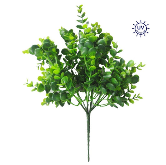 a plant with green leaves on a white background